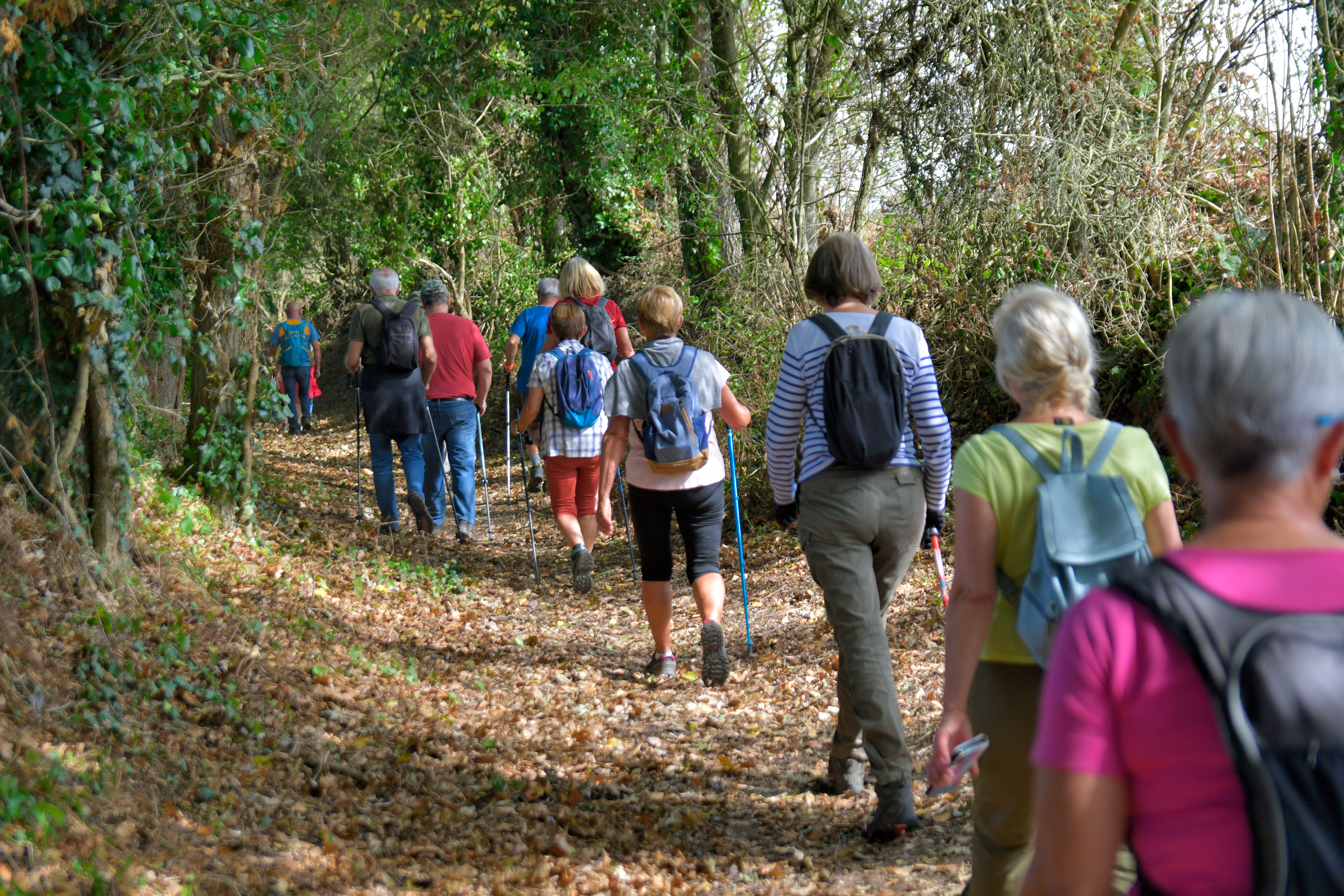 Balades conviviales randonnée