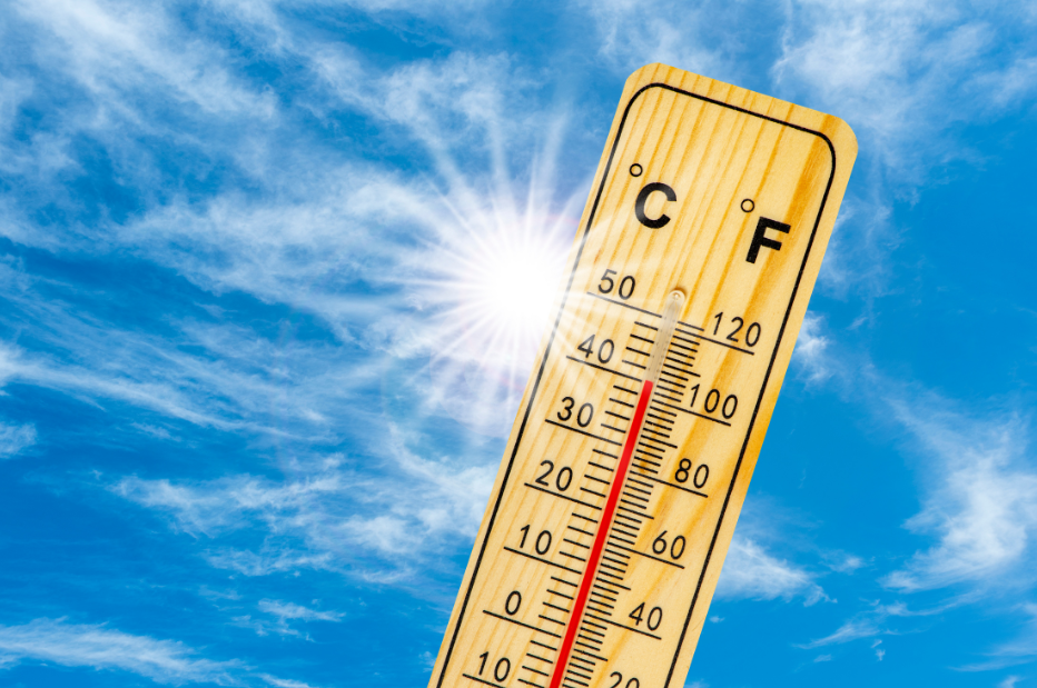 Canicule